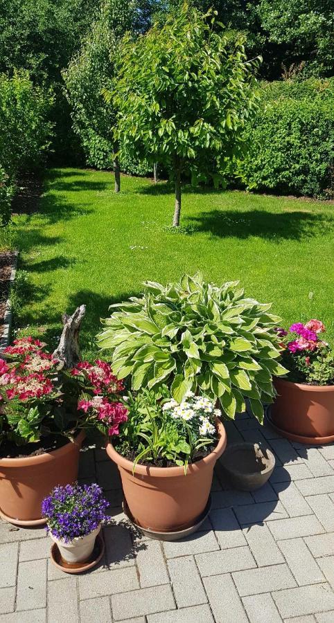 Ferienresidenz Naturoase Krakow am See Exterior photo